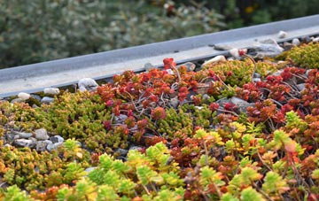 the cost of Winstanleys green roof installation