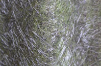 Winstanleys fibreglass roof work